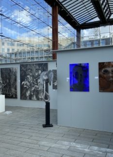 IMG_7646